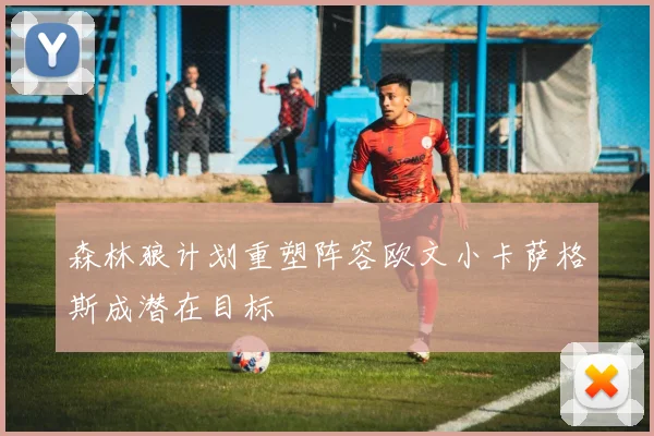 森林狼计划重塑阵容欧文小卡萨格斯成潜在目标